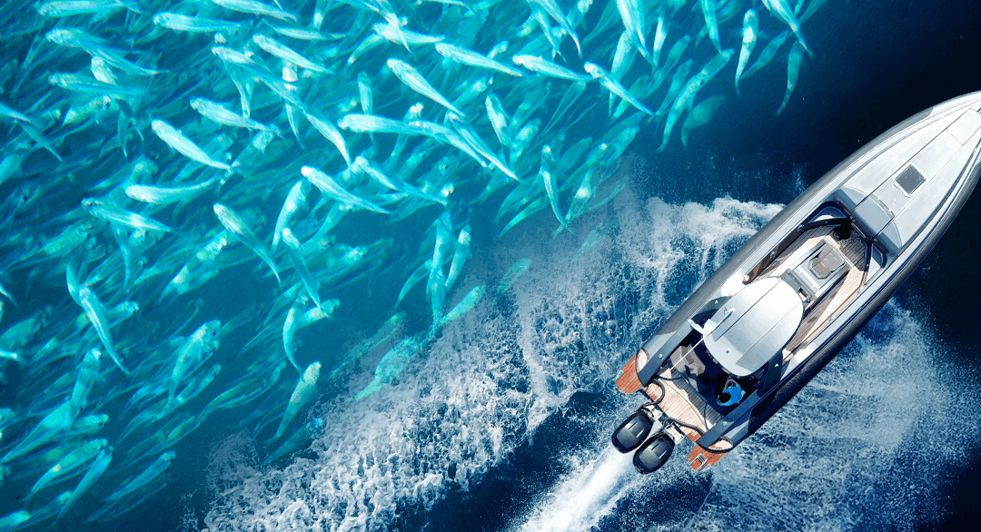 HYDRA AI Human Domain Monitoring in Illegal Fishing and Marine Resource Conservation
