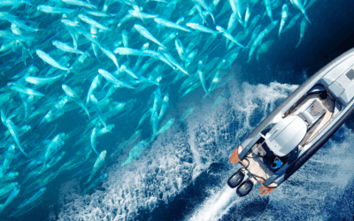 HYDRA AI Human Domain Monitoring in Illegal Fishing and Marine Resource Conservation